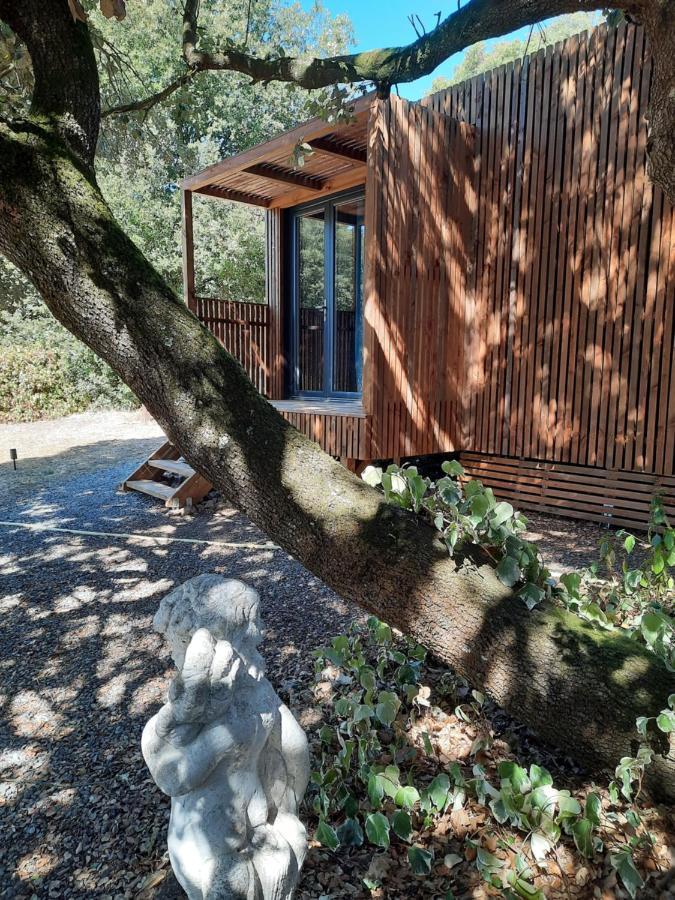Le Lodge Des Chenes Brousses-et-Villaret Zewnętrze zdjęcie